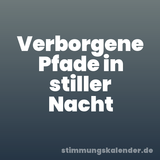 Verborgene Pfade in stiller Nacht
