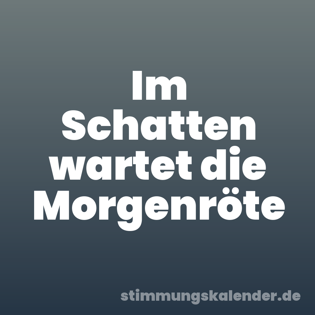 Im Schatten wartet die Morgenröte