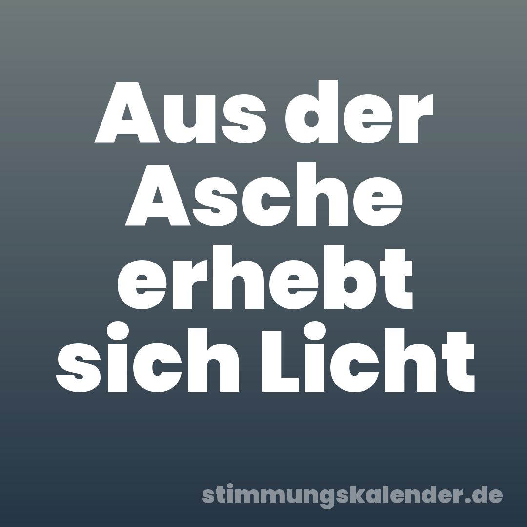 Aus der Asche erhebt sich Licht