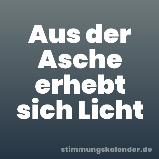 Aus der Asche erhebt sich Licht