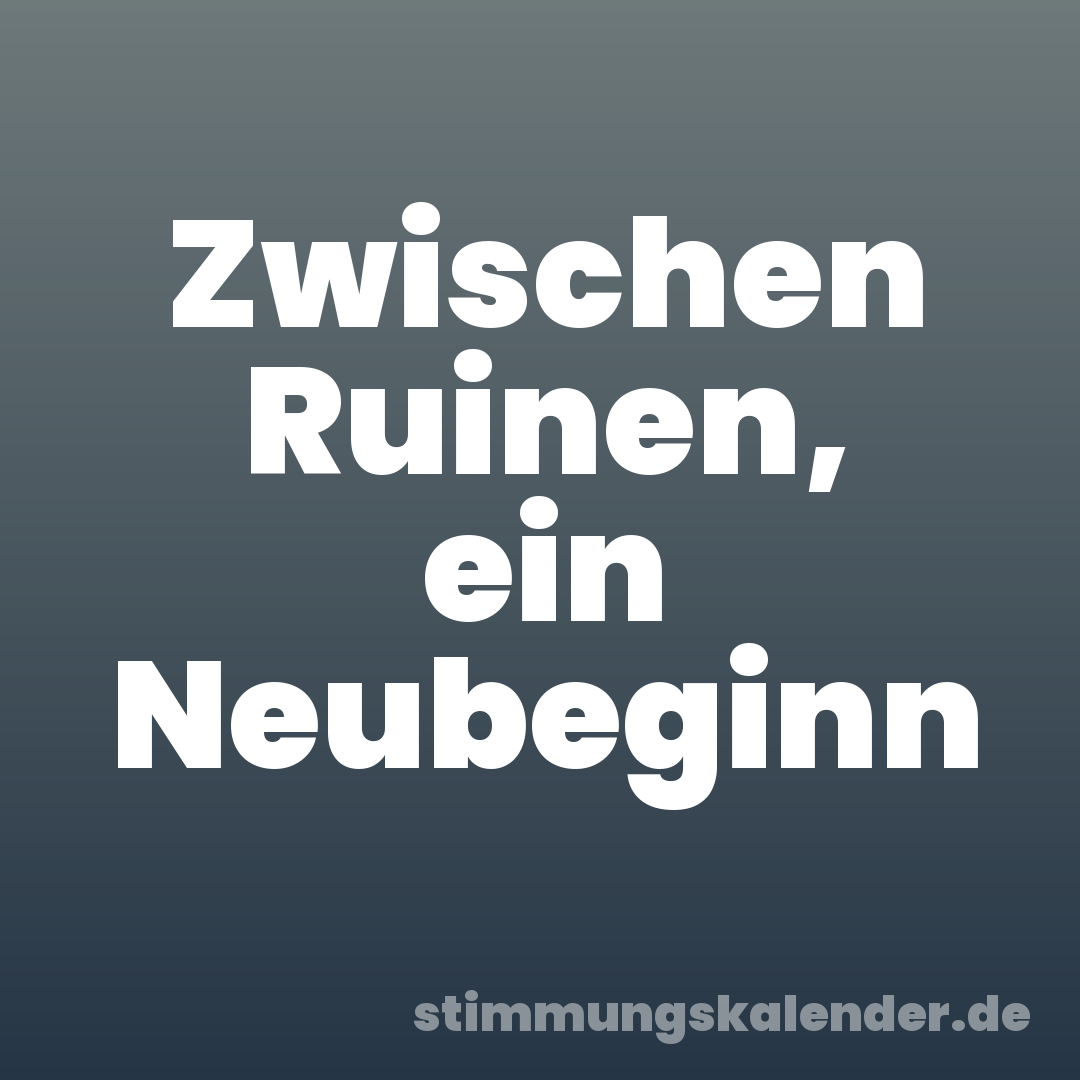 Zwischen Ruinen, ein Neubeginn