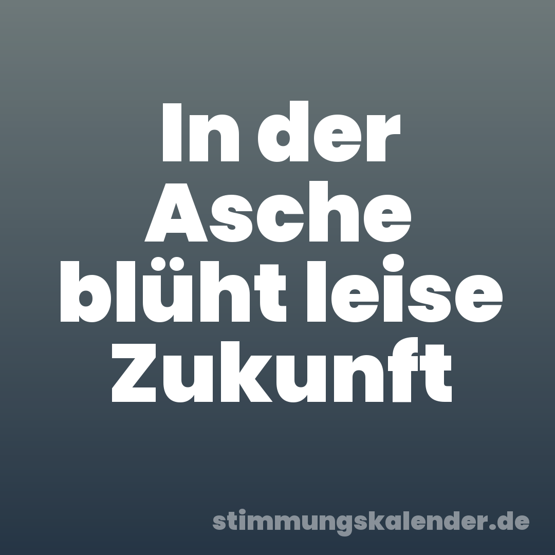 In der Asche blüht leise Zukunft