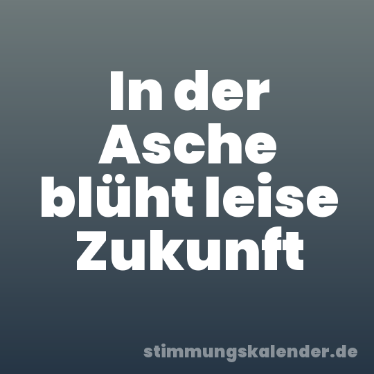 In der Asche blüht leise Zukunft