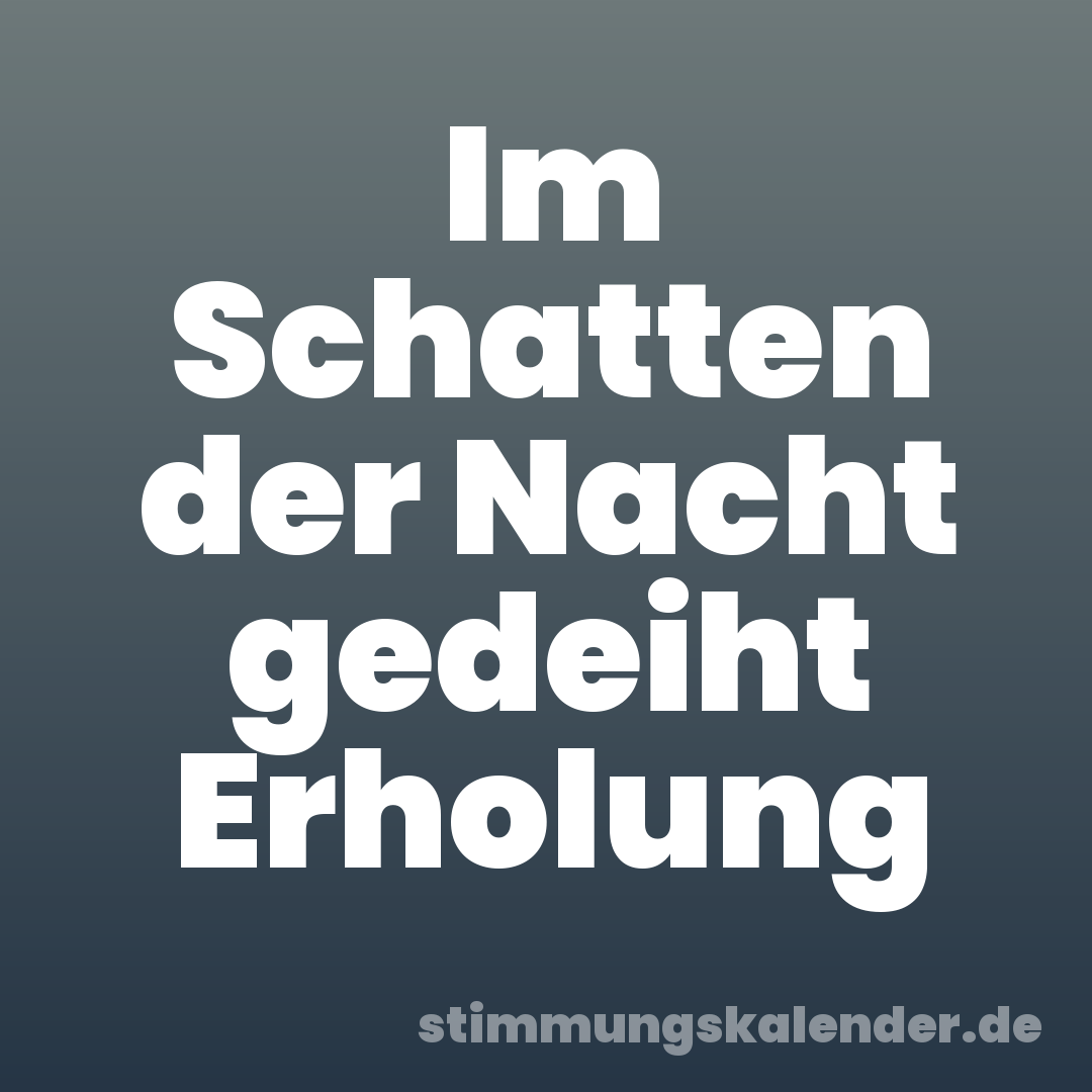 Im Schatten der Nacht gedeiht Erholung
