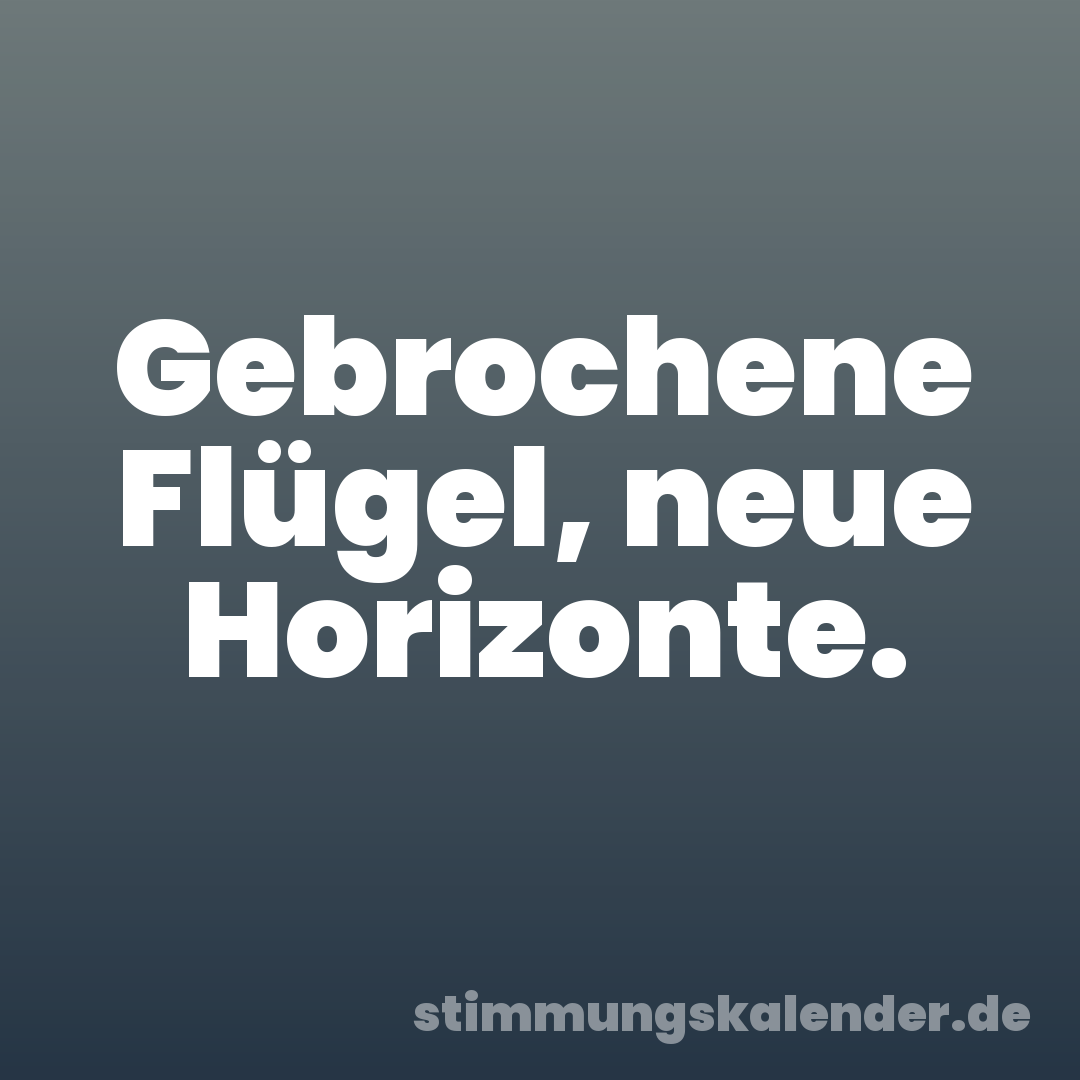 Gebrochene Flügel, neue Horizonte.