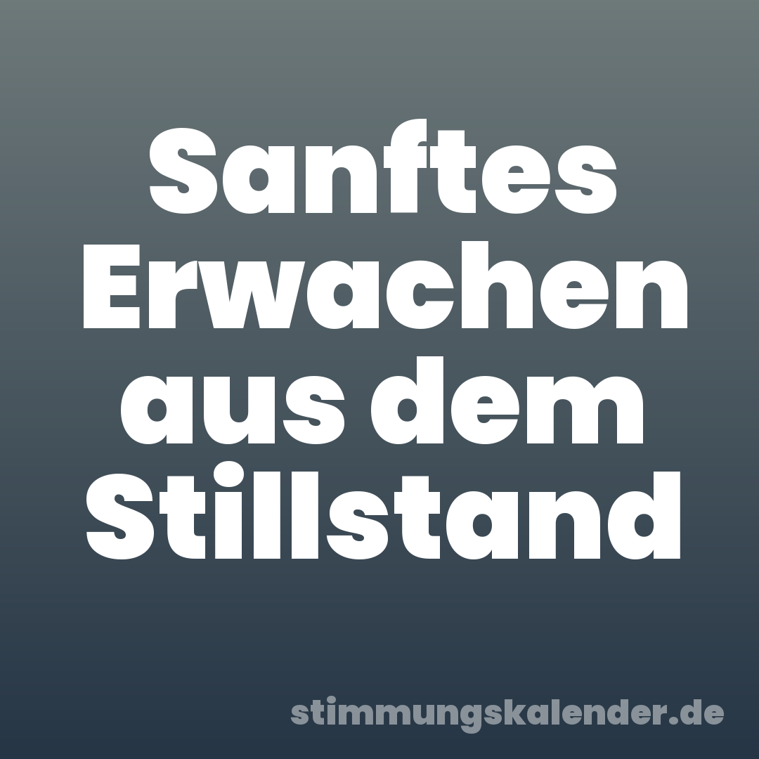 Sanftes Erwachen aus dem Stillstand