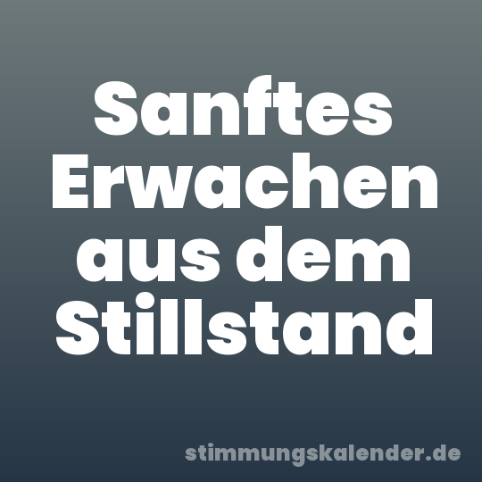 Sanftes Erwachen aus dem Stillstand