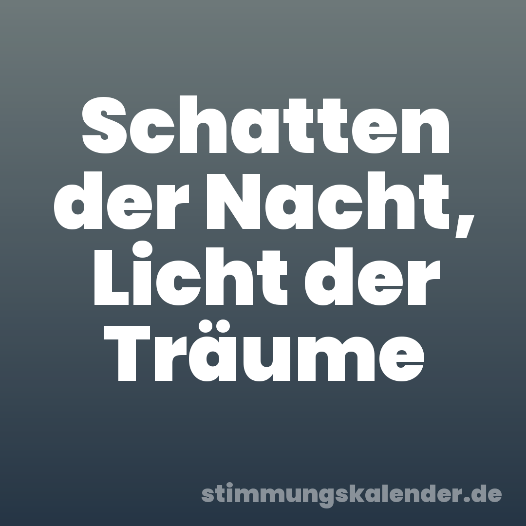 Schatten der Nacht, Licht der Träume
