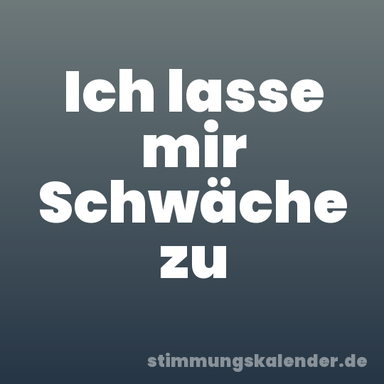 Ich lasse mir Schwäche zu