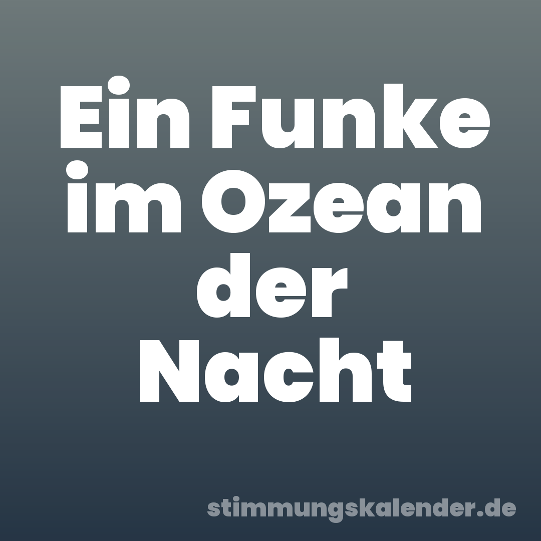 Ein Funke im Ozean der Nacht