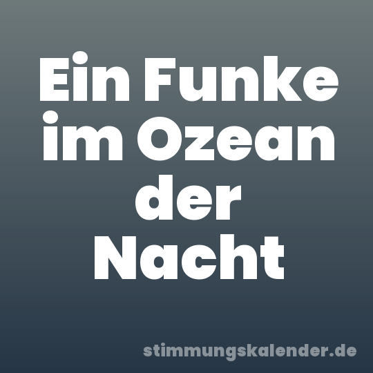 Ein Funke im Ozean der Nacht