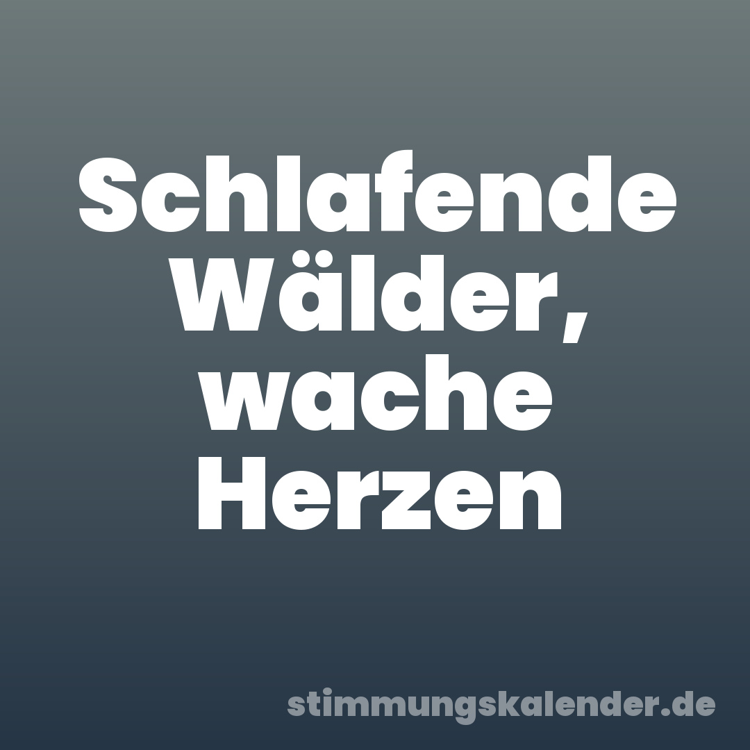 Schlafende Wälder, wache Herzen