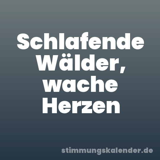 Schlafende Wälder, wache Herzen