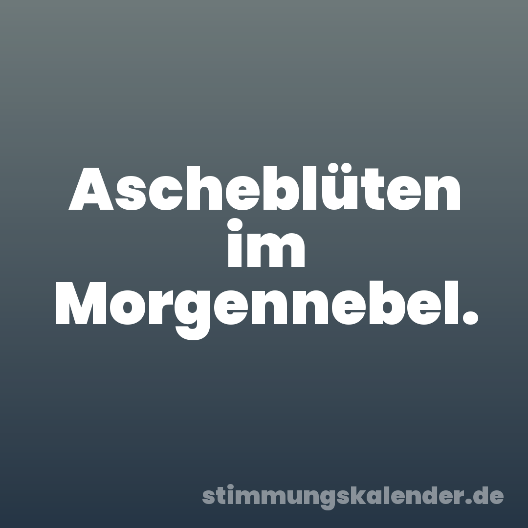 Ascheblüten im Morgennebel.