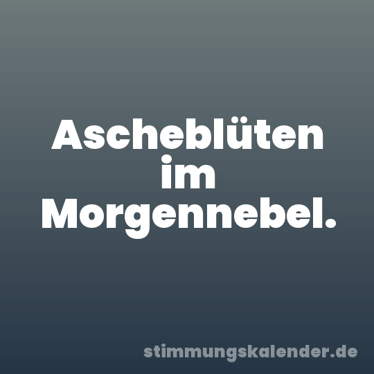 Ascheblüten im Morgennebel.