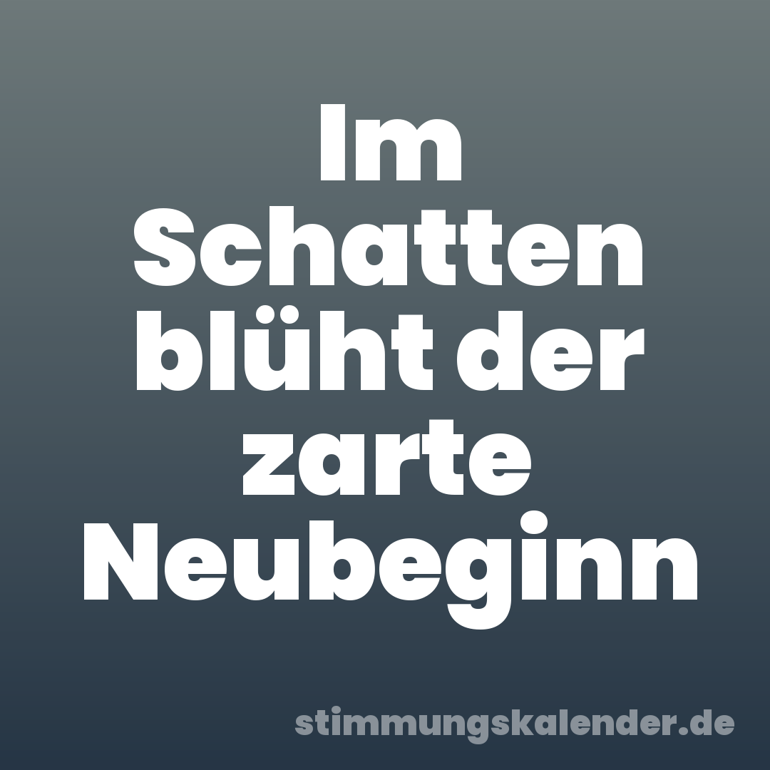 Im Schatten blüht der zarte Neubeginn
