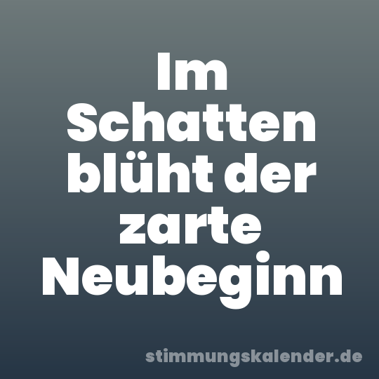 Im Schatten blüht der zarte Neubeginn