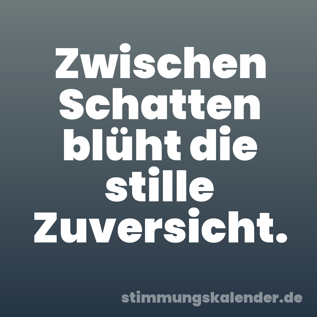 Zwischen Schatten blüht die stille Zuversicht.