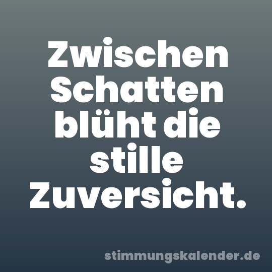 Zwischen Schatten blüht die stille Zuversicht.