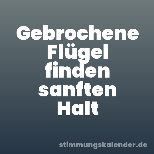 Gebrochene Flügel finden sanften Halt