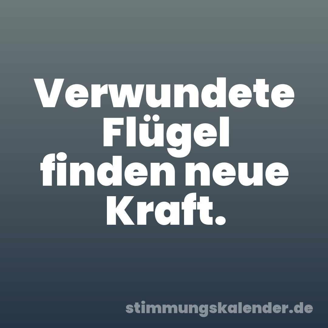 Verwundete Flügel finden neue Kraft.