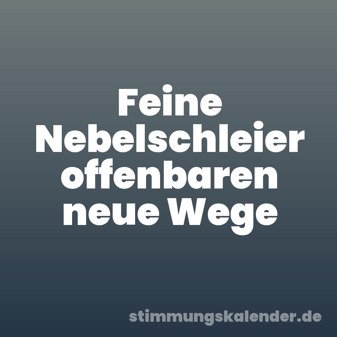Feine Nebelschleier offenbaren neue Wege