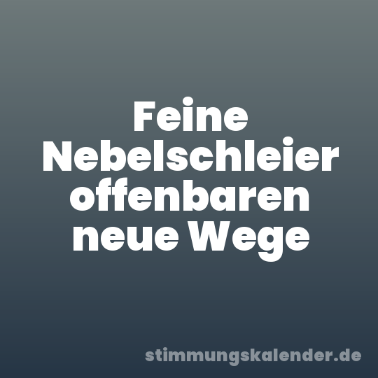 Feine Nebelschleier offenbaren neue Wege