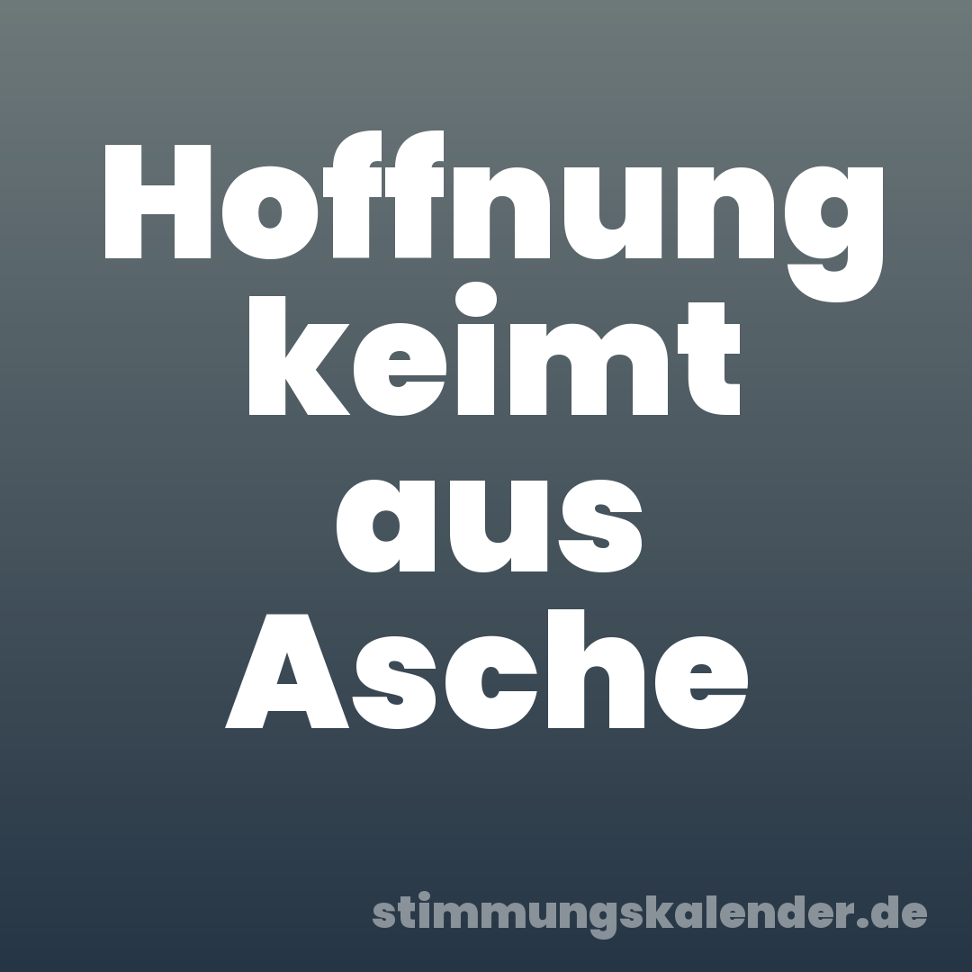 Hoffnung keimt aus Asche