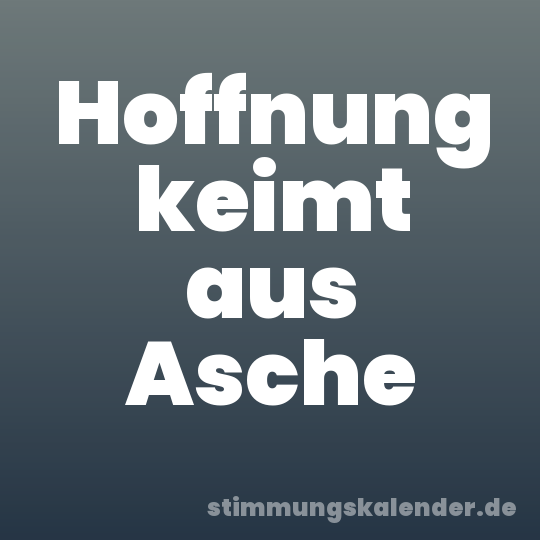 Hoffnung keimt aus Asche