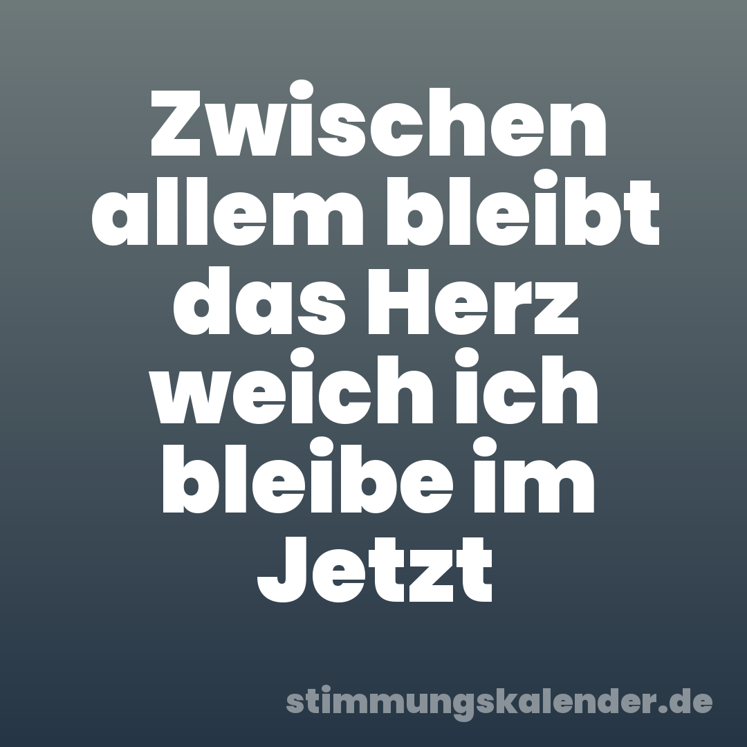 Zwischen allem bleibt das Herz weich ich bleibe im Jetzt