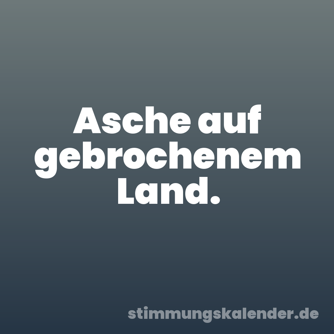 Asche auf gebrochenem Land.
