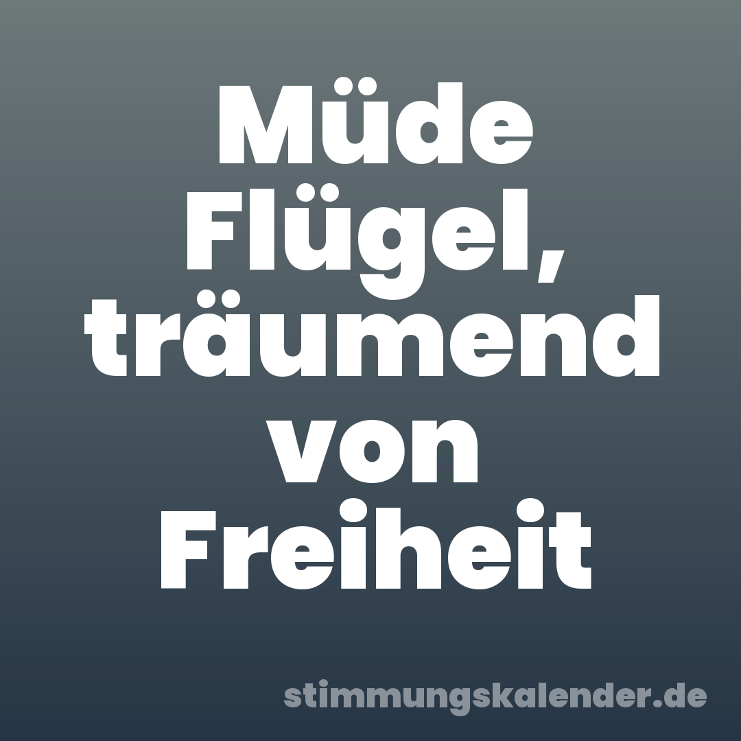 Müde Flügel, träumend von Freiheit