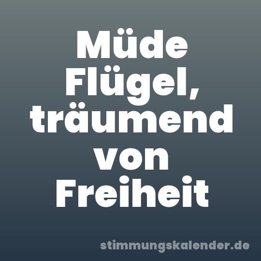 Müde Flügel, träumend von Freiheit