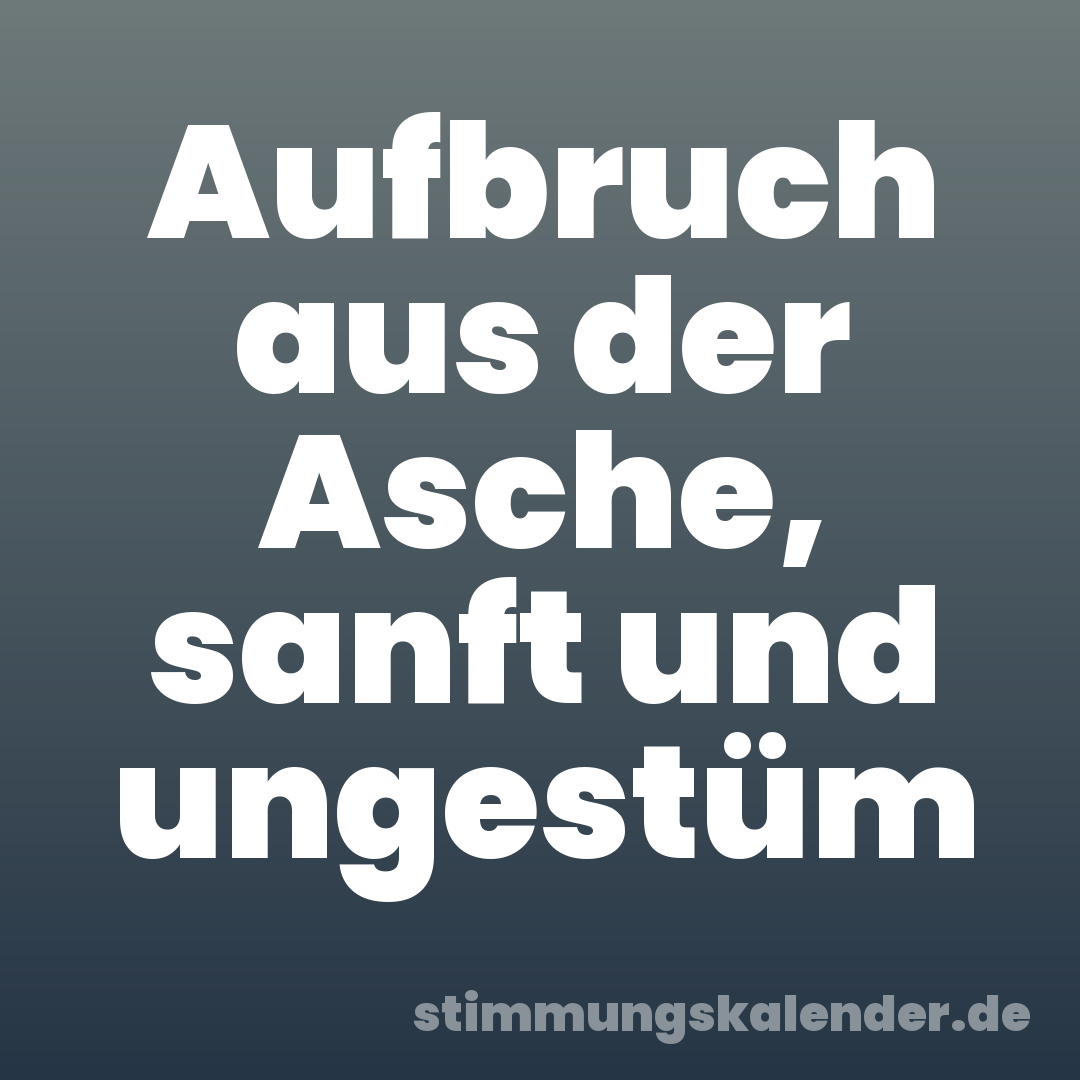 Aufbruch aus der Asche, sanft und ungestüm