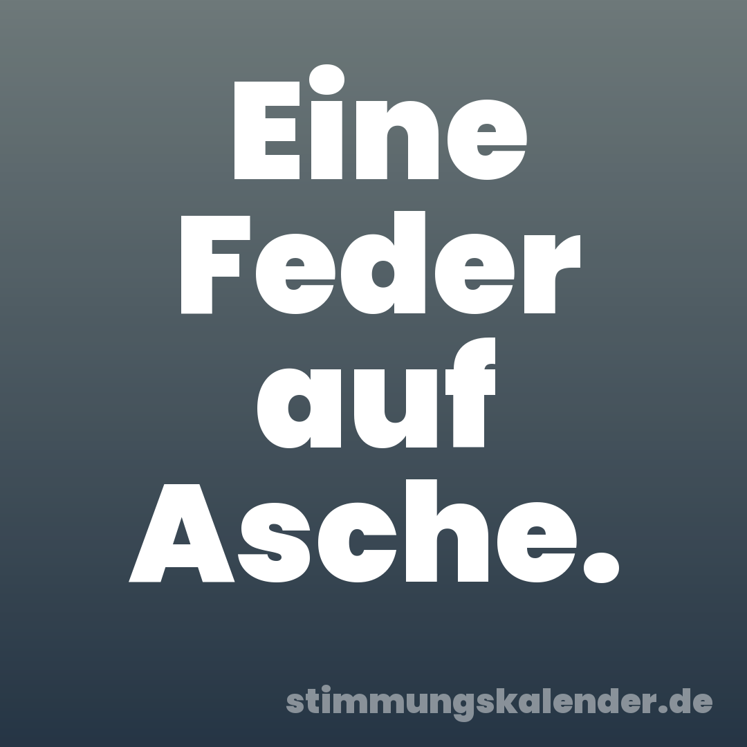 Eine Feder auf Asche.