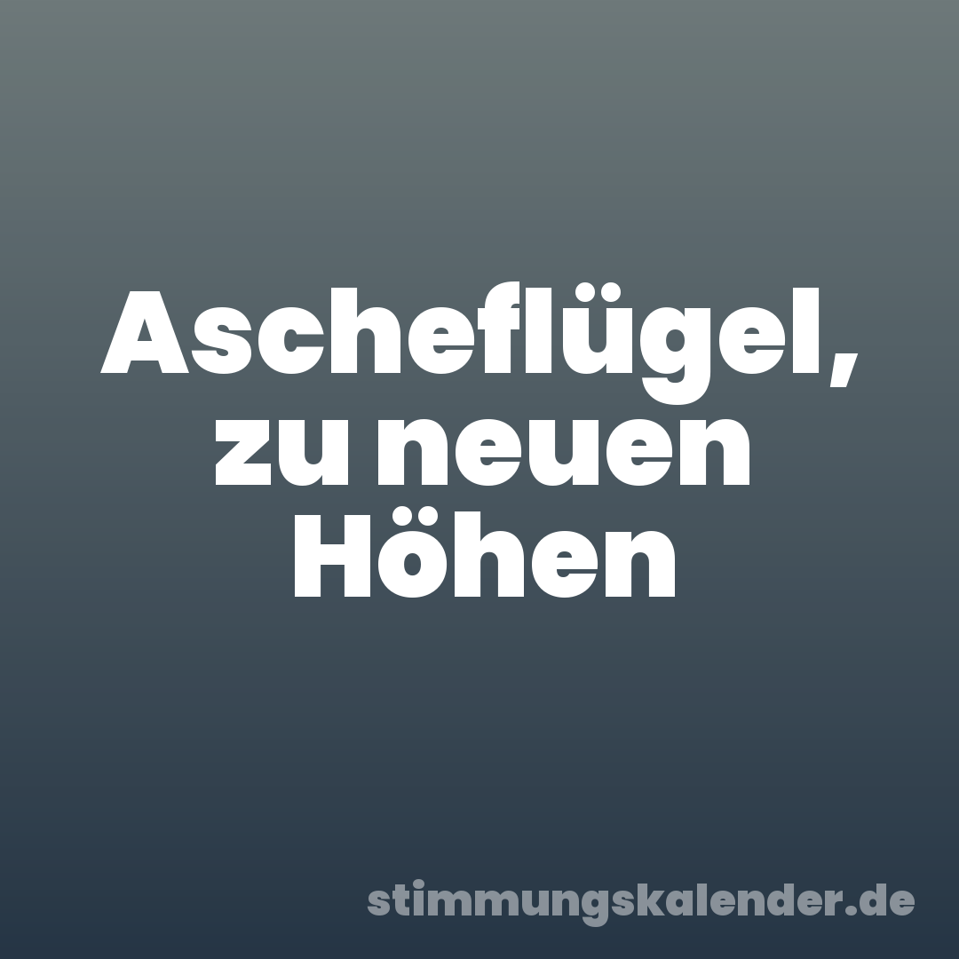 Ascheflügel, zu neuen Höhen