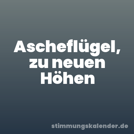 Ascheflügel, zu neuen Höhen