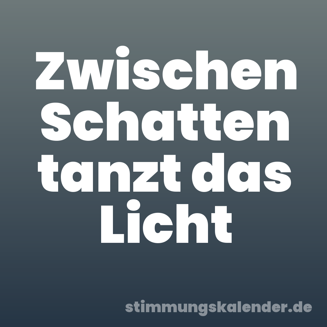Zwischen Schatten tanzt das Licht