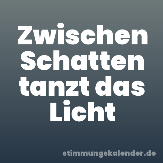 Zwischen Schatten tanzt das Licht