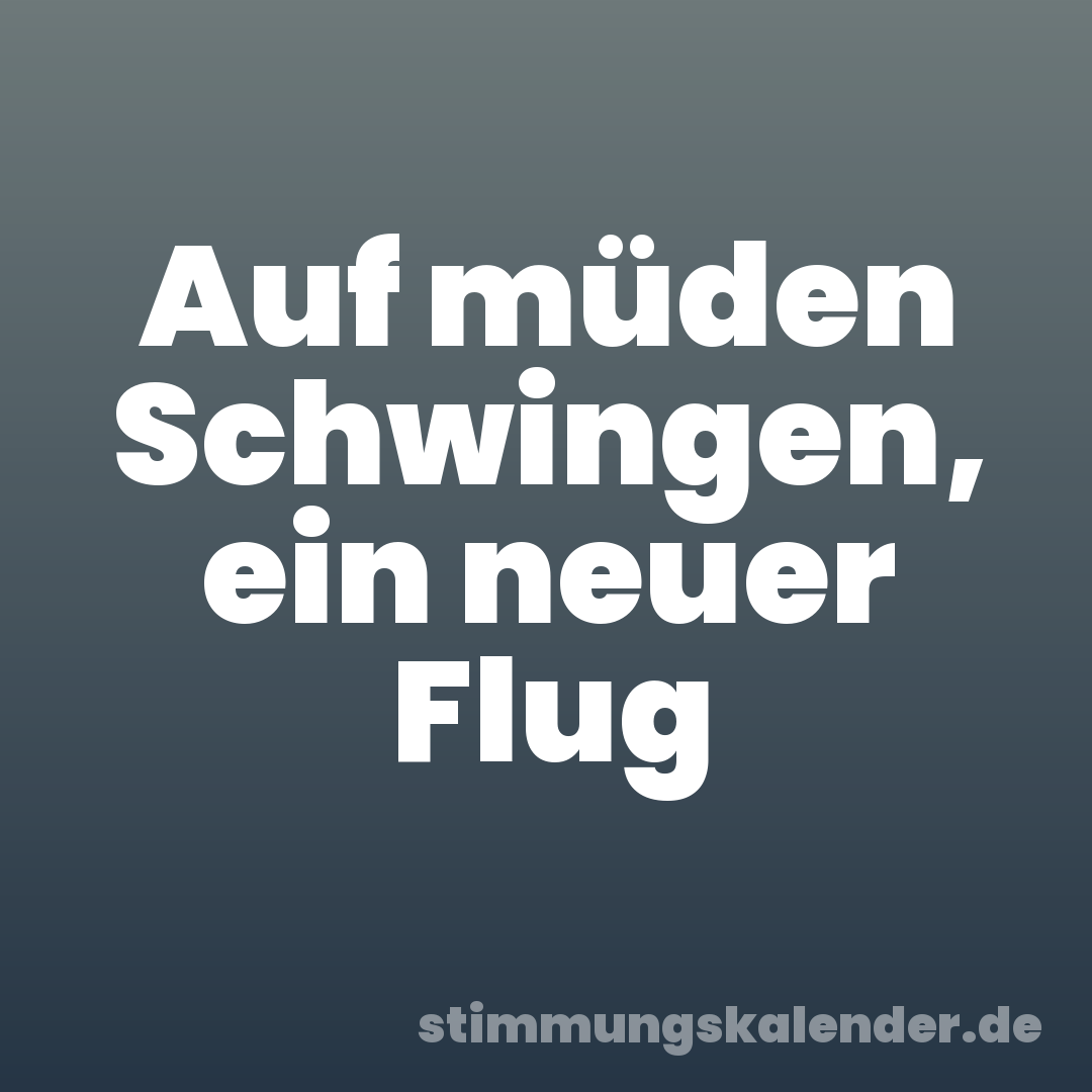 Auf müden Schwingen, ein neuer Flug