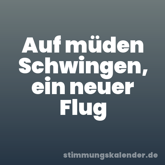 Auf müden Schwingen, ein neuer Flug