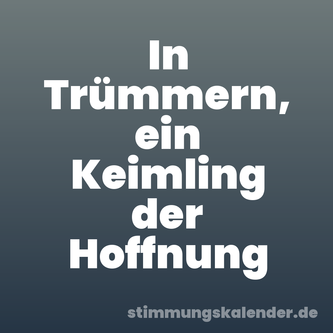 In Trümmern, ein Keimling der Hoffnung