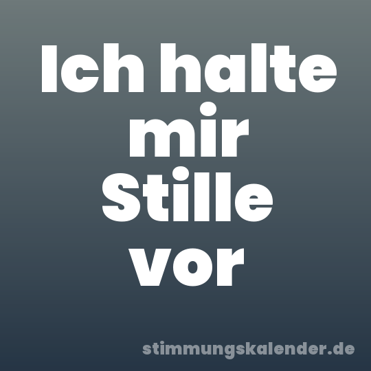 Ich halte mir Stille vor