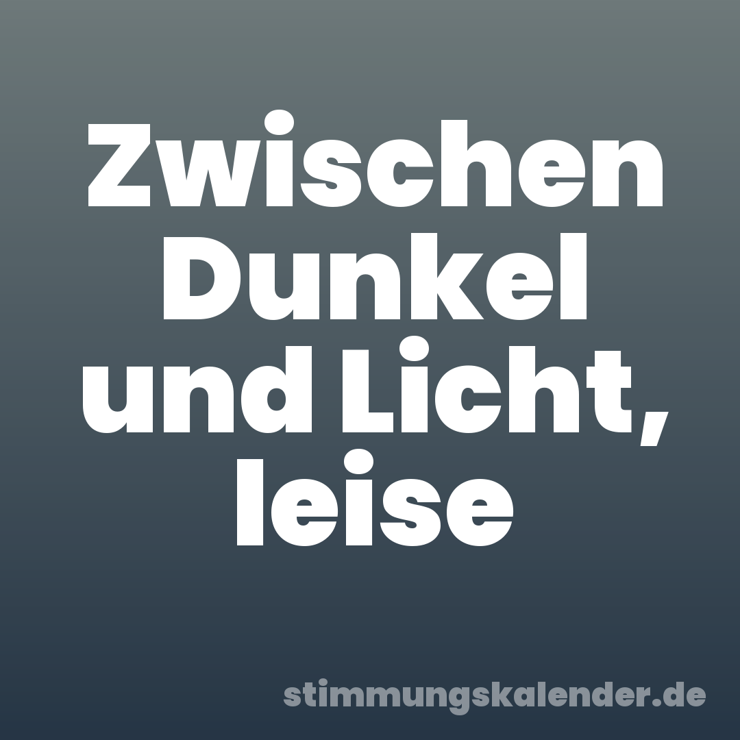 Zwischen Dunkel und Licht, leise
