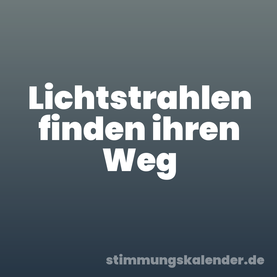 Lichtstrahlen finden ihren Weg