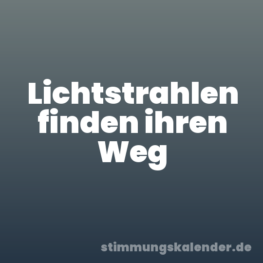 Lichtstrahlen finden ihren Weg