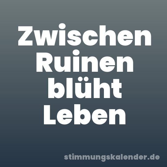 Zwischen Ruinen blüht Leben
