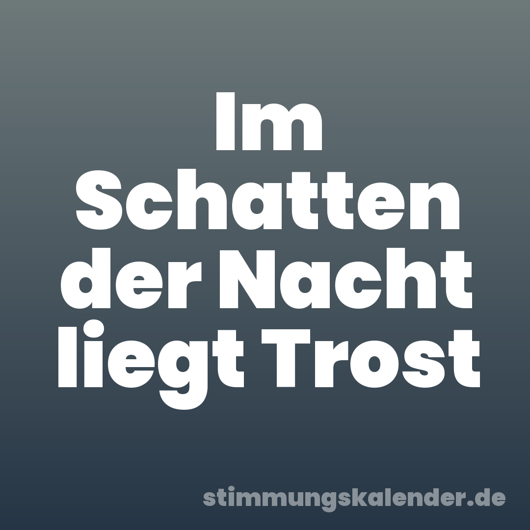 Im Schatten der Nacht liegt Trost