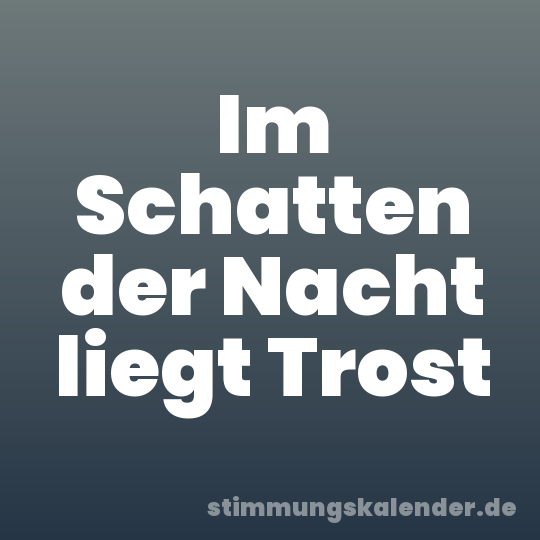 Im Schatten der Nacht liegt Trost