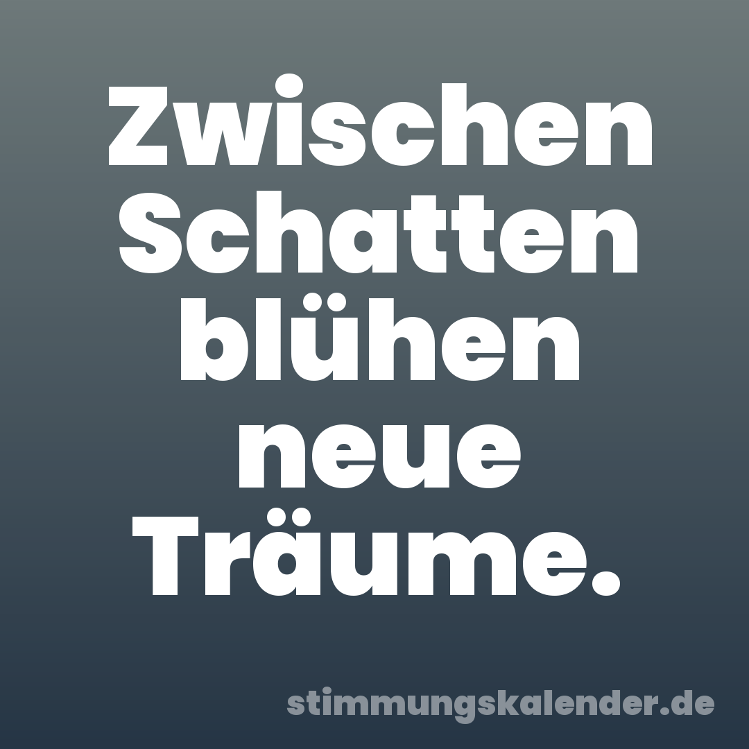 Zwischen Schatten blühen neue Träume.